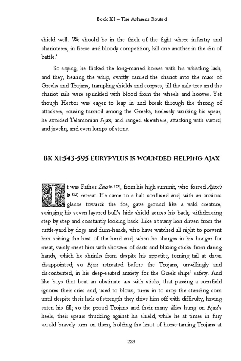 The Iliad - Page 223